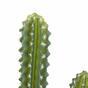 Umelý kaktus 69 cm