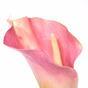 Umelý kvet Kala ružový 55 cm