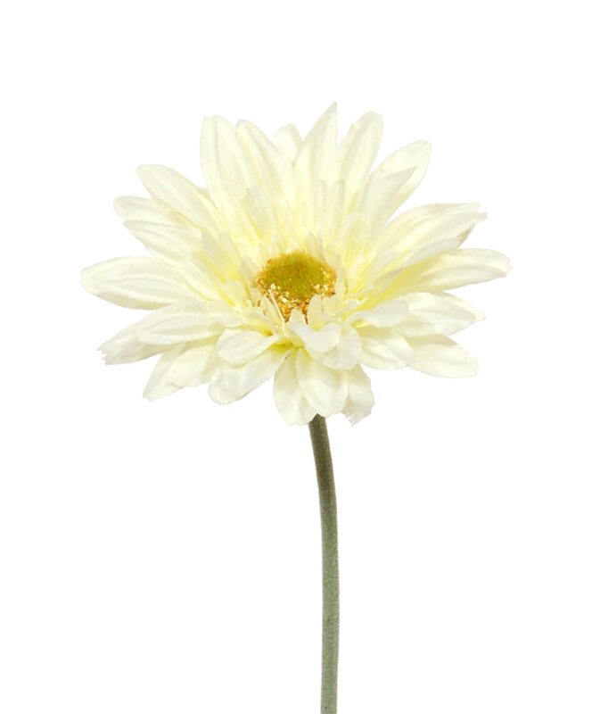 Umelá krémová Gerbera 60 cm