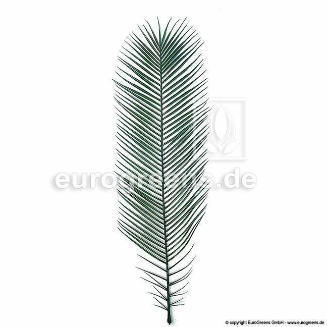 Umelý list Ďatľovník kanársky 130 cm