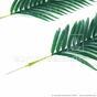 Umelý list palma Areca 100 cm