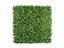 Umelý listnatý panel Buxus - 50x50 cm