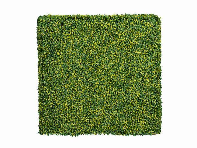 Umelý listnatý panel Buxus - 50x50 cm