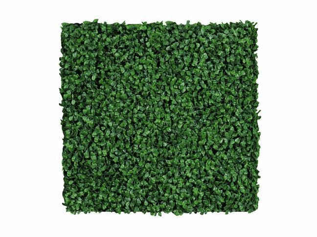 Umelý listnatý panel Buxus - 50x50 cm