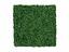 Umelý listnatý panel Buxus - 50x50 cm