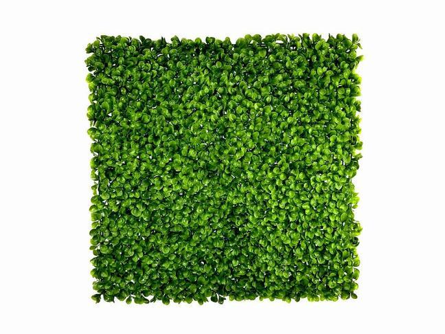 Umelý listnatý panel Peperomia - 50x50 cm