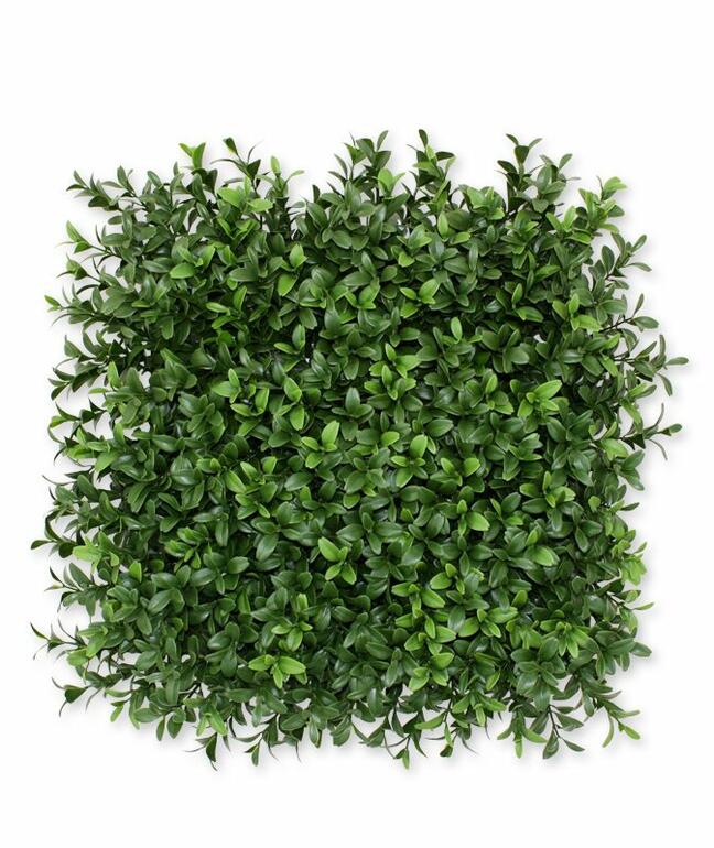 Umelý panel Buxus - 25x25 cm