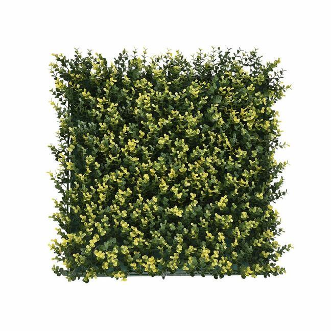 Umelý panel Buxus - 50x50 cm