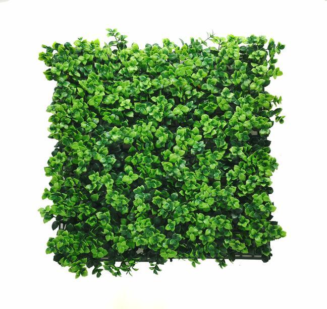 Umelý panel Pachysandra - 50x50 cm