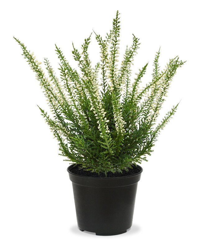 Umelá krémová rastlina Vres 25 cm