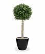 Umelý strom Buxus guľatý 110 cm
