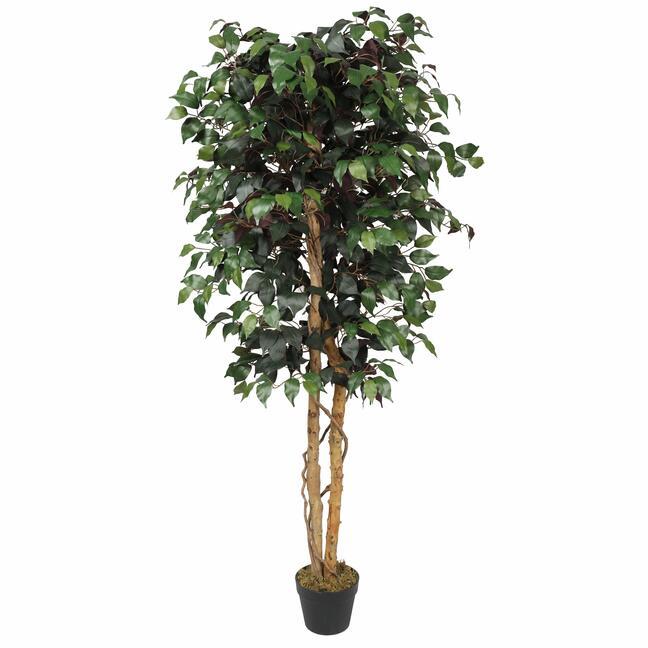 Umelý strom Fikus Benjamin bordový 170 cm