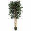 Umelý strom Fikus Benjamin bordový 170 cm
