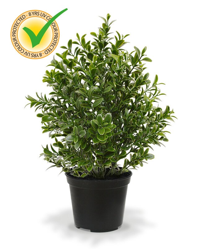 Umelá rastlina Buxus 30 cm