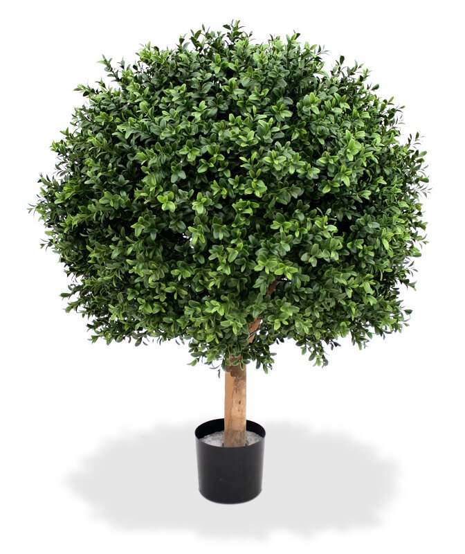 Umelý buxusový strom Deluxe 60cm