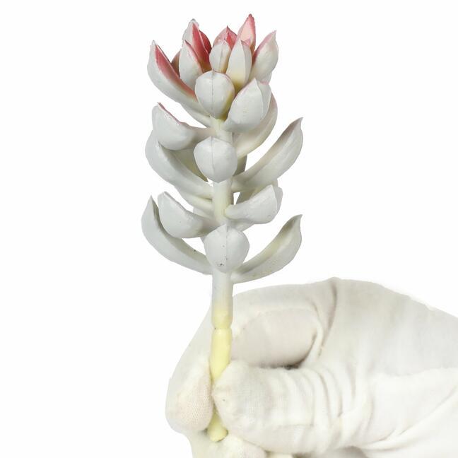 Umelý sukulent Echevéria 15 cm