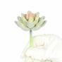 Umelý sukulent lotos Eševéria Elegans 9,5 cm