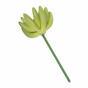 Umelý sukulent lotos Eševéria zelený 9 cm
