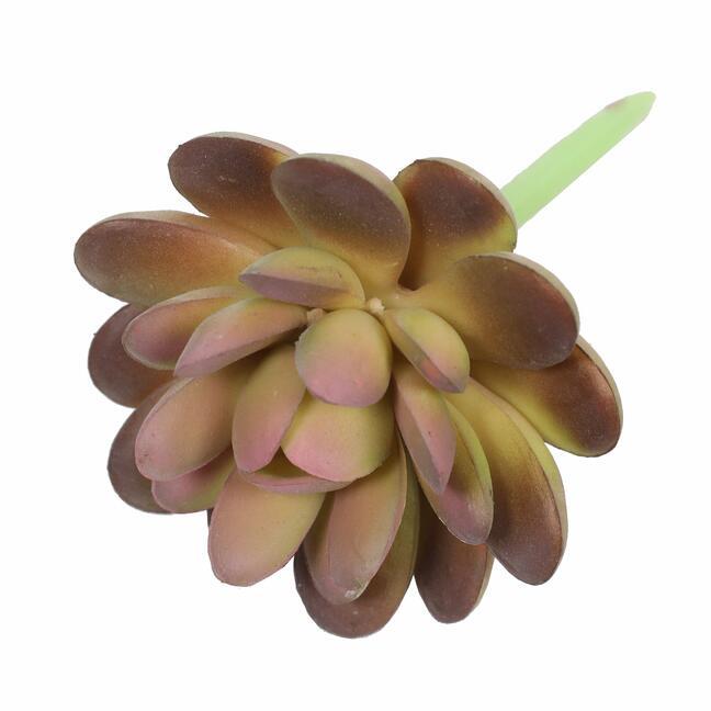 Umelý sukulent lotos Graptopetalum 9,5 cm
