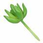 Umelý sukulent lotos Sedum 10 cm