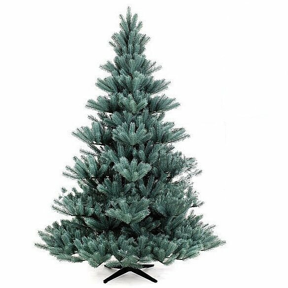 Umelý vianočný stromček Modrá Jedľa Pomeroy 200 cm