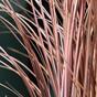 Umelý zapichovací zväzok trávy burgundy 40 cm