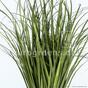 Umelý zapichovací zväzok trávy Trsť obyčajná 80 cm