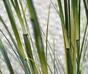 Umelý zväzok trávy Bambus v kvetináči 80 cm