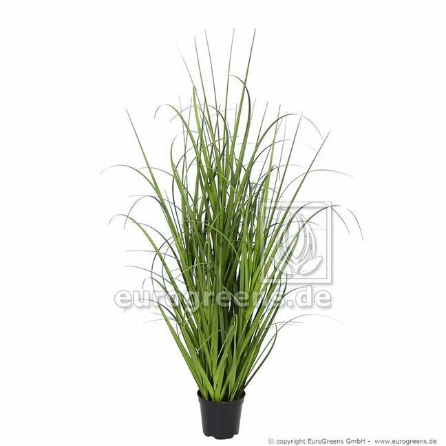 Umelý zväzok trávy Miskant obrovský v kvetináči 70 cm