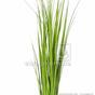 Umelý zväzok trávy Trsť obyčajná 45 cm