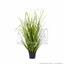 Umelý zväzok trávy Trsť obyčajná v kvetináči 60 cm